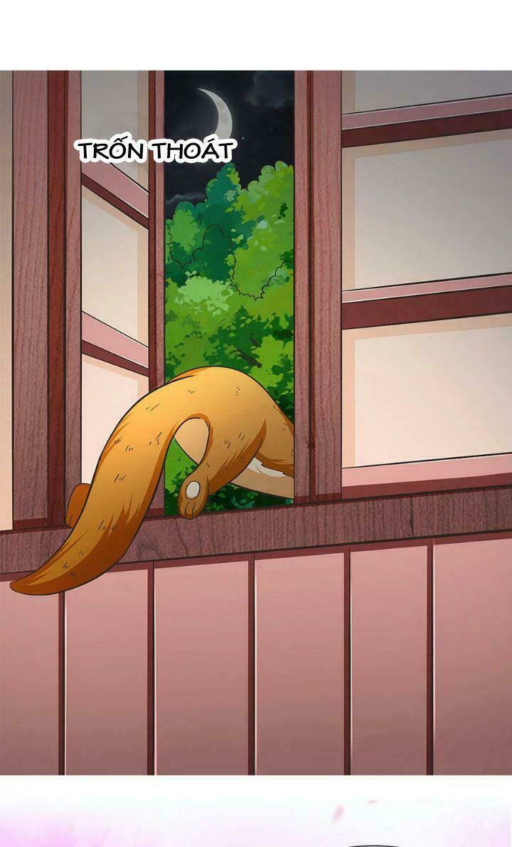 chào buổi tối, minh vương đại nhân chapter 14 7