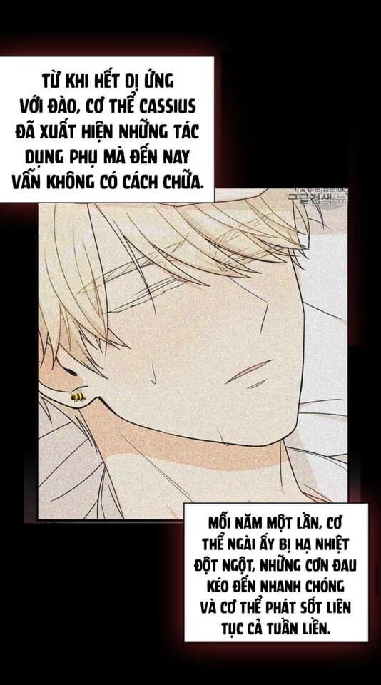 xuyên không trở thành mẹ của nhân vật phản diện chapter 30 55