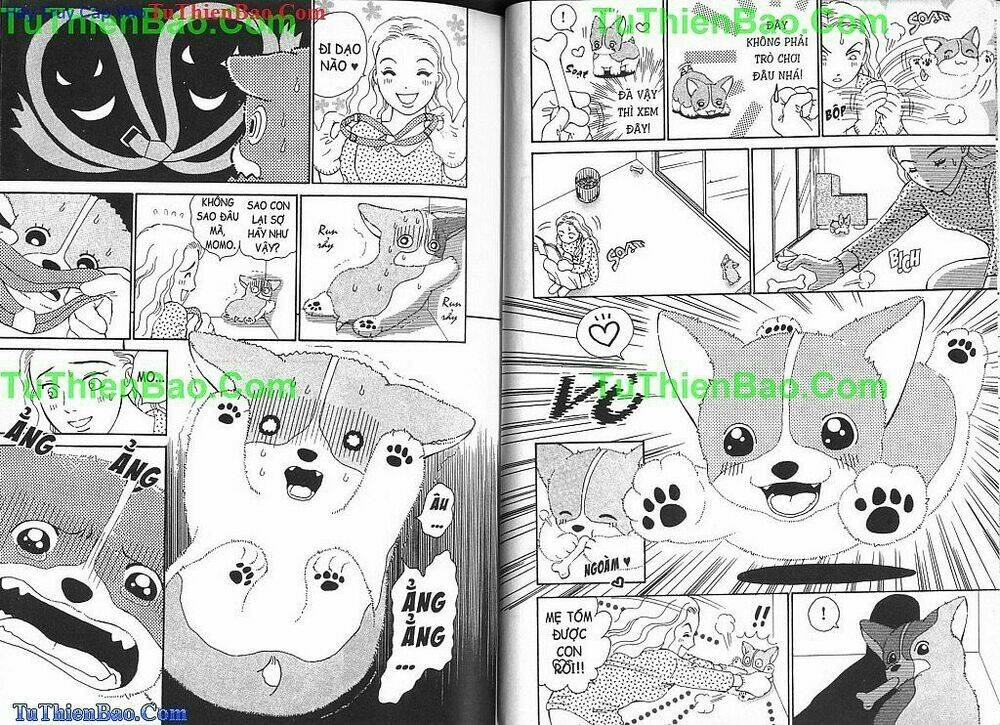 chó con mo mo chapter 2 23