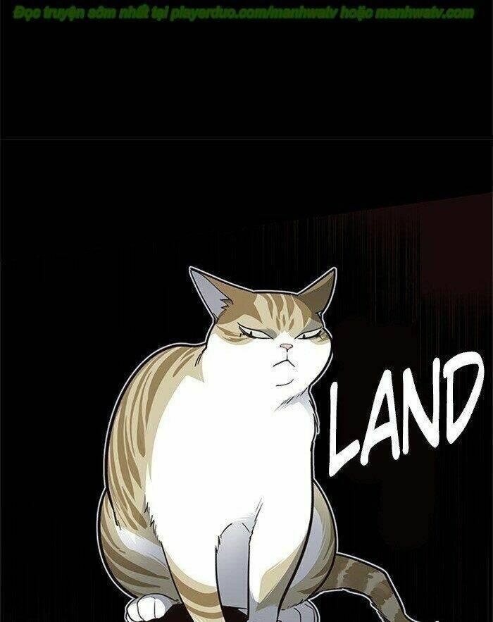 biến thân thành mèo chapter 45 73