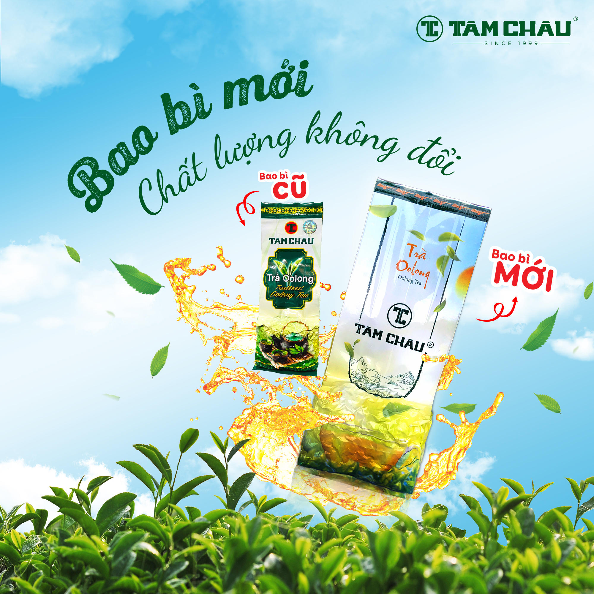 [TÂM CHÂU] Trà Oolong Gói Nhôm Cao Cấp 250g