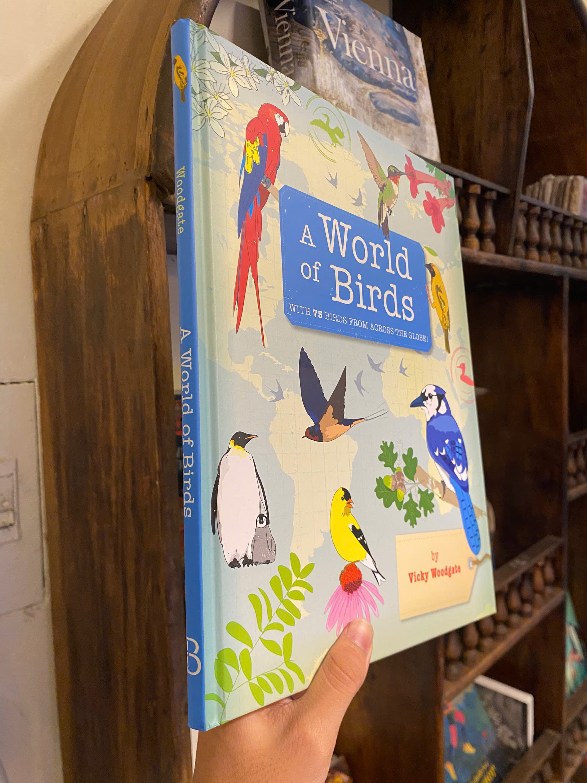Sách - A World of Birds by Vicky Woodgate | Children's Science Picture Book | English Encyclopedia