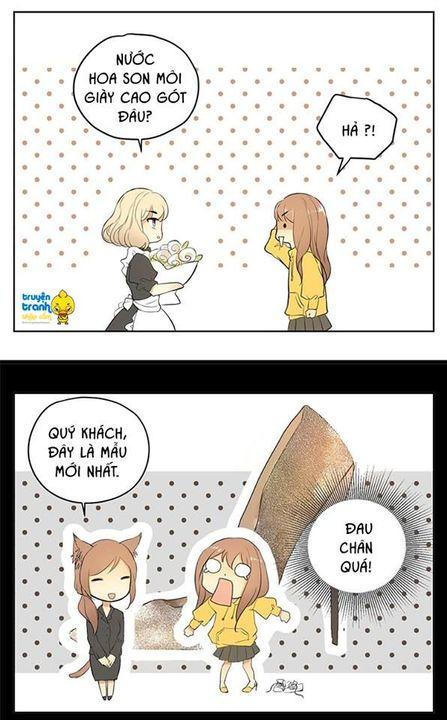 cứu mạng ! loài mèo thống trị thế giới rồi ! chapter 17 17