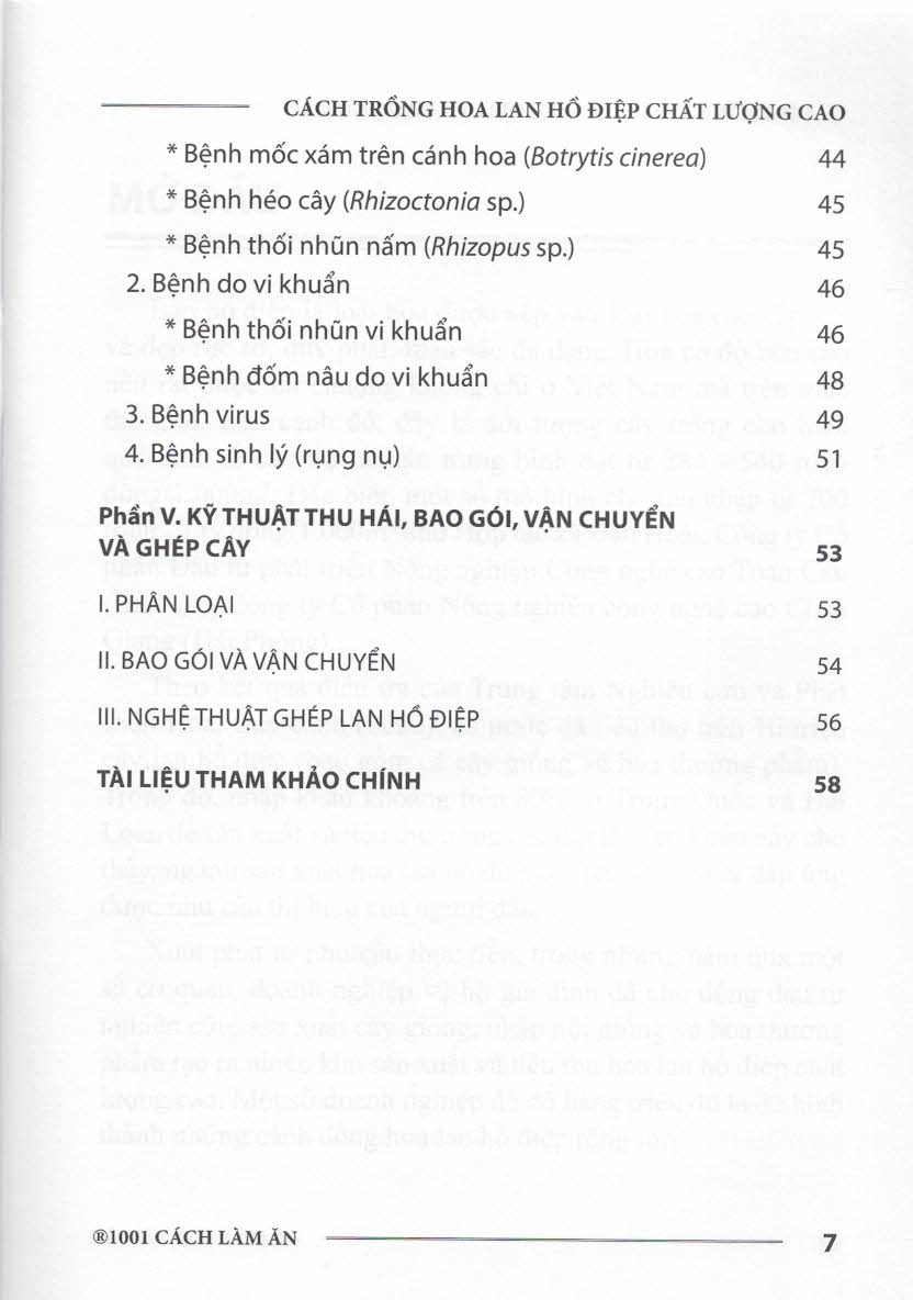 Cách Trồng HOA HỒ ĐIỆP CHẤT LƯỢNG CAO