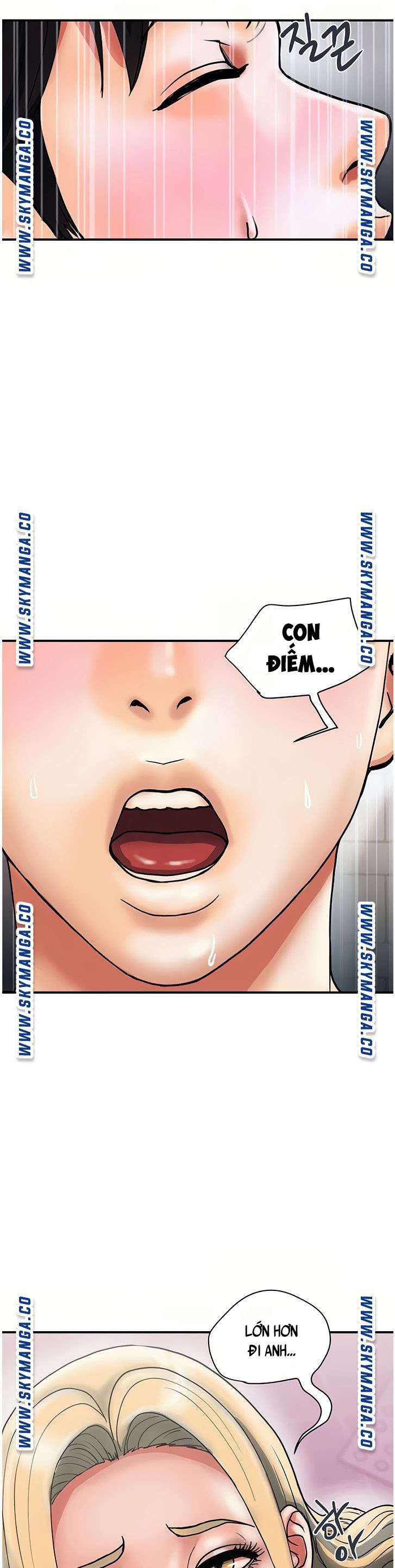 chất dẫn dục chapter 11 27