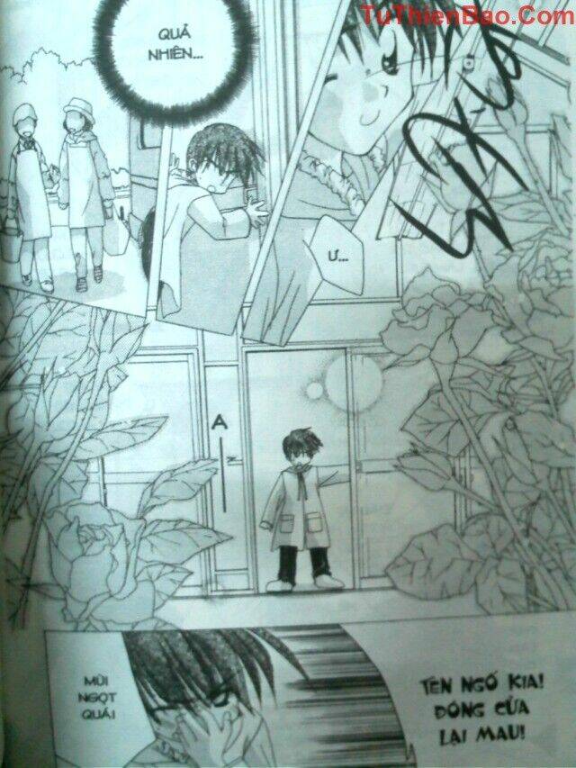 nguyện ước dưới ánh sao chapter 8 98