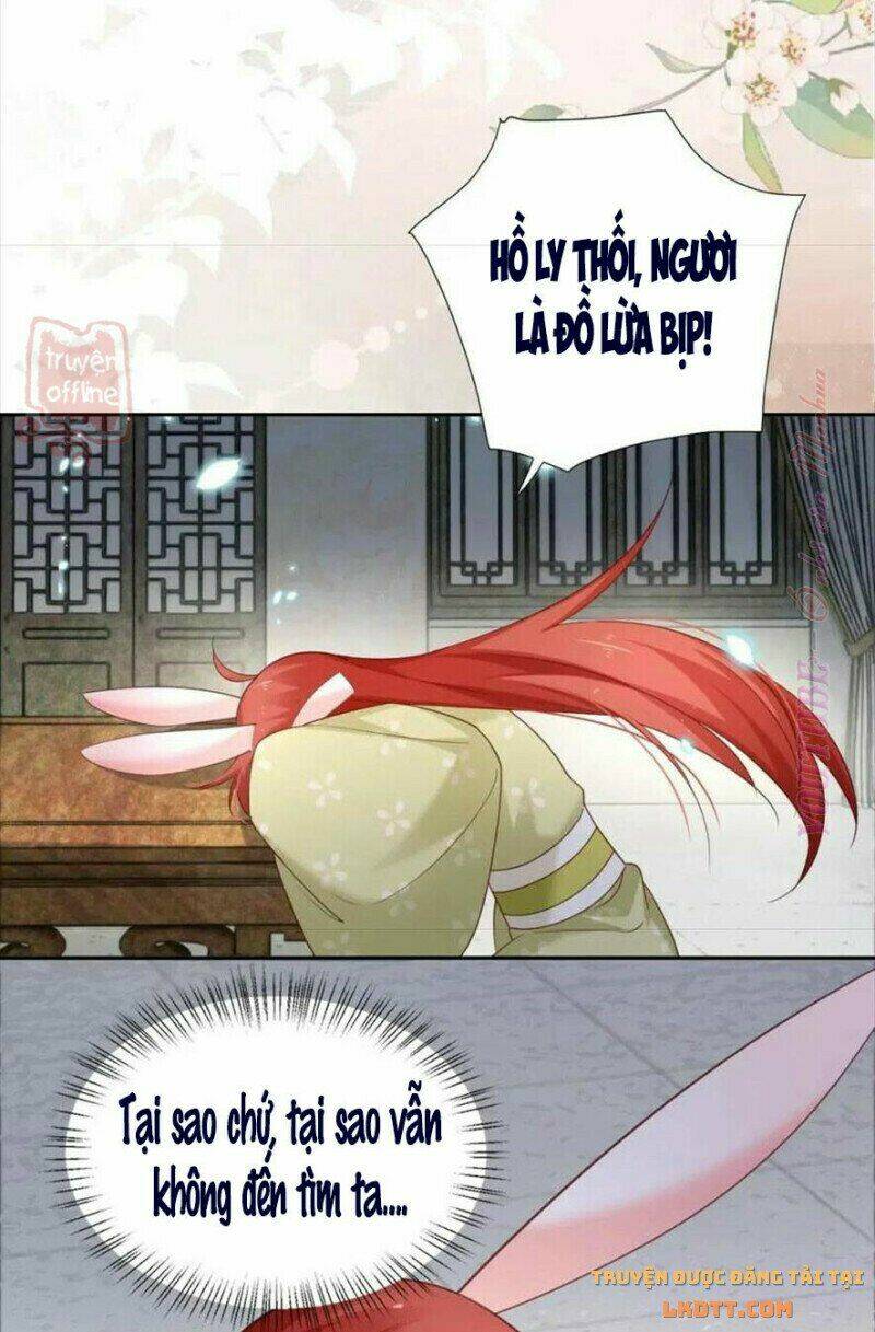 hắc hóa nam chính trực tuyến nuôi thỏ chapter 56 24