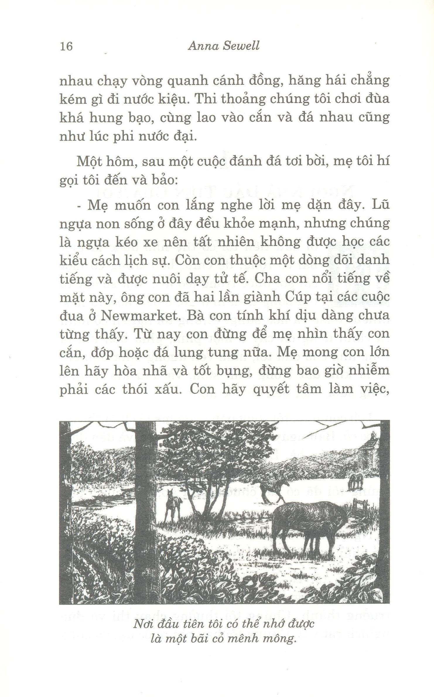 Ngựa Ô Yêu Dấu (Tái Bản)