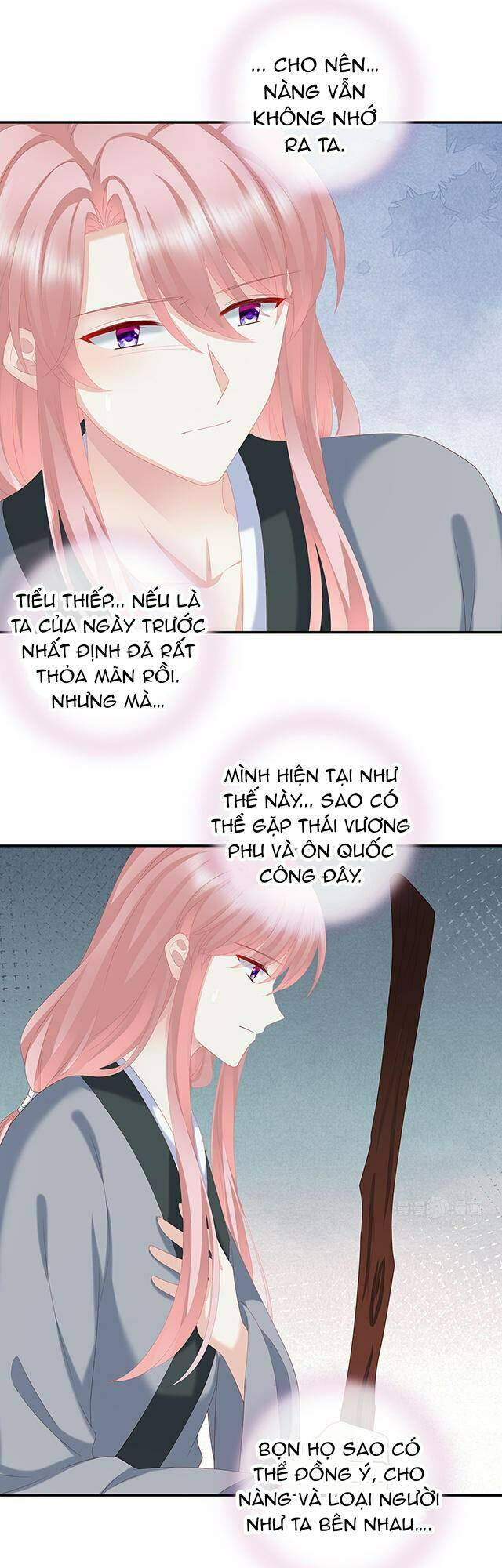 kiều phu có hỉ chapter 21 7