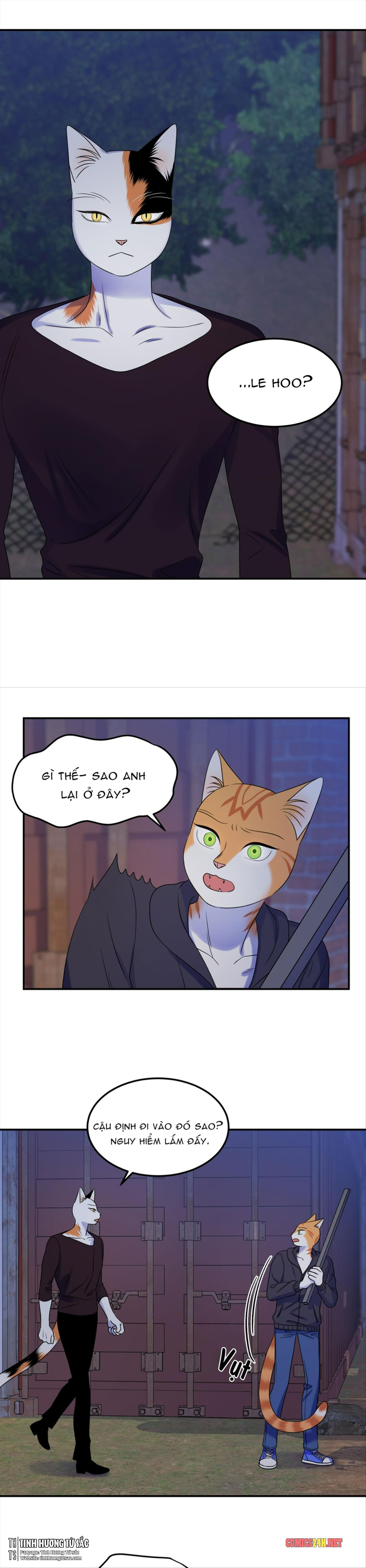 dự án xanh chapter 17 8