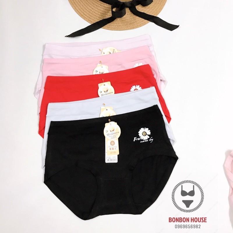 Quần Lót Lưng Cao Cotton Đẹp