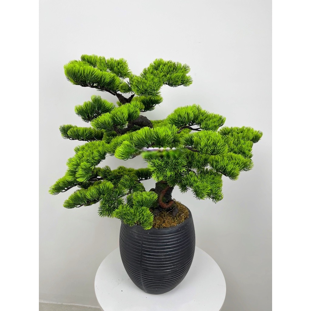 Cây tùng giả - Cây bonsai giả - Cây giả, hoa lụa Decor trang trí nhà cửa