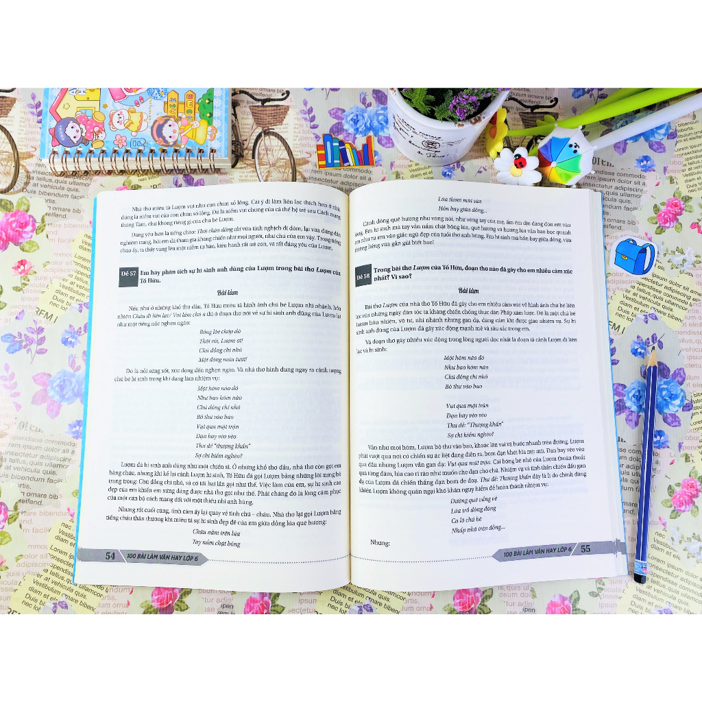 Sách 100 bài làm văn hay lớp 6 - ndbooks