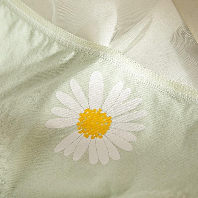 Quần Lót Nữ Cotton Cúc Họa Mi Thời Trang Ngang Eo . Hàng Loại Đẹp.
