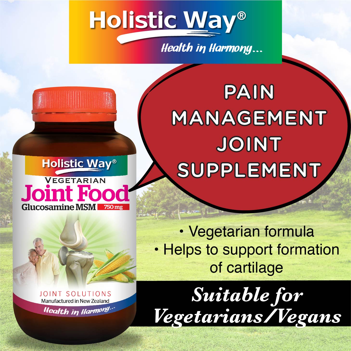Viên uống bổ sung sụn, khớp, giảm nhức mỏi Holistic Way Glucosamine MSM 750mg