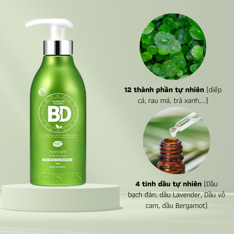 Dầu gội đầu TS BD ngăn ngừa gàu và giảm ngứa da đầu cãi thiện tóc mềm mại 500ml