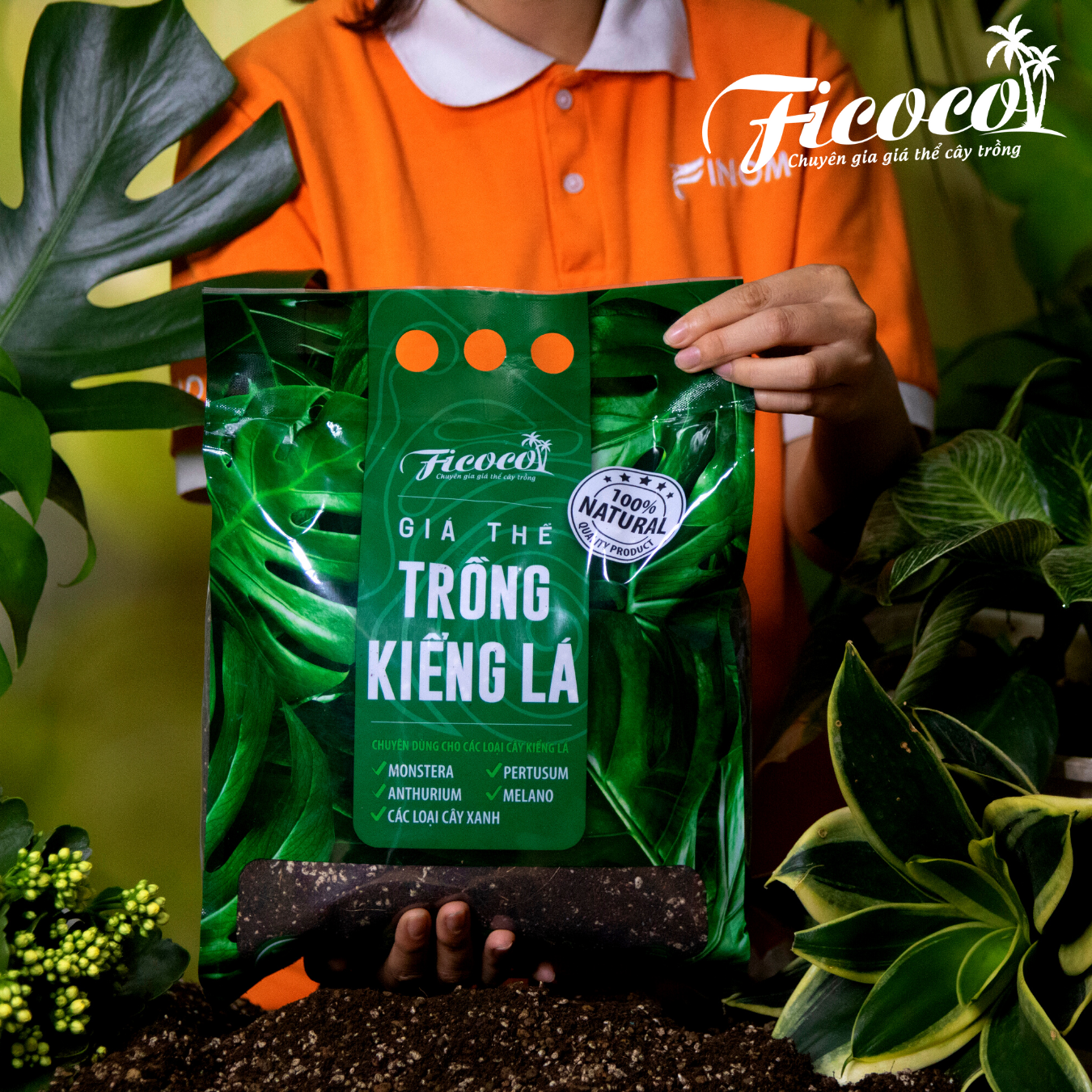 GIÁ THỂ TRỒNG  KIỂNG LÁ 7L - FICOCO