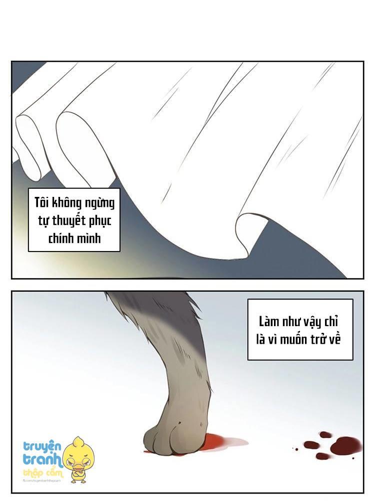 cứu mạng ! loài mèo thống trị thế giới rồi ! chapter 26 14