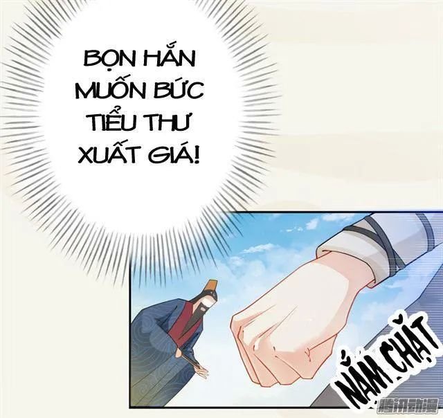tuyệt thế luyện đan sư chapter 10 15