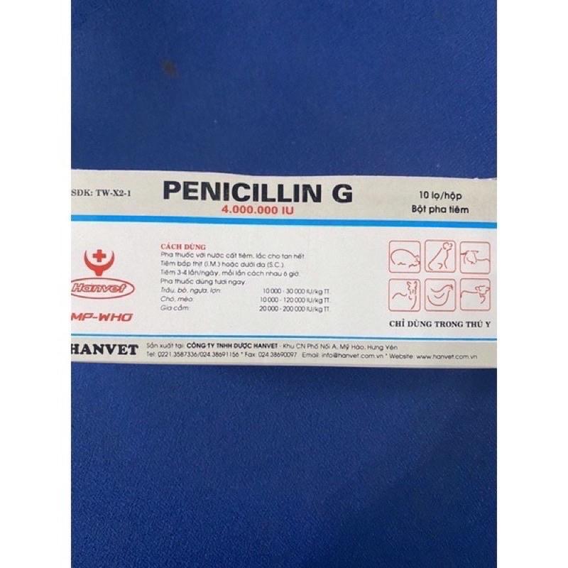 [THÚ Y] 1 lọ PENICILLIN G PENI 4 triệu 4.000.000 IU điều trị bệnh do vi khuẩn gram, đóng dấu, nhiệt thán, uốn ván, mụn nhọt, lở loét dùng cho trâu bò lợn gà chó mèo