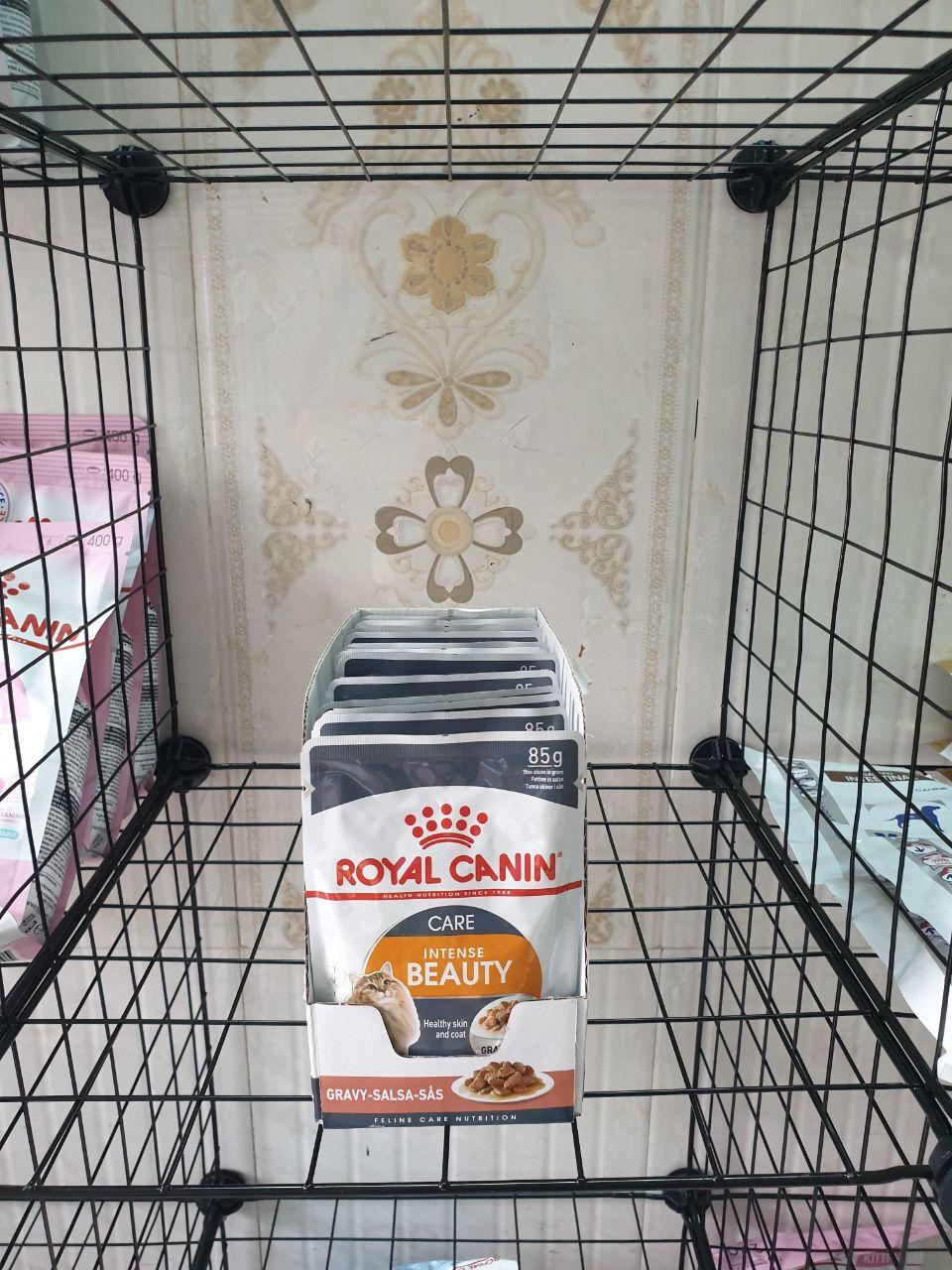 Pate Cho Mèo Royal Canin Intense Beauty Gravy 85g (1 Gói)