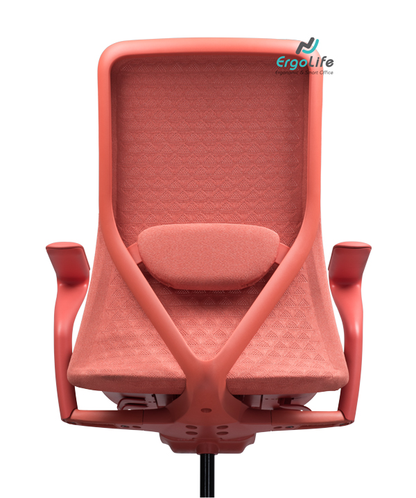 Ghế Công Thái Học Goodtone Poly - Bảo Hành 5 Năm