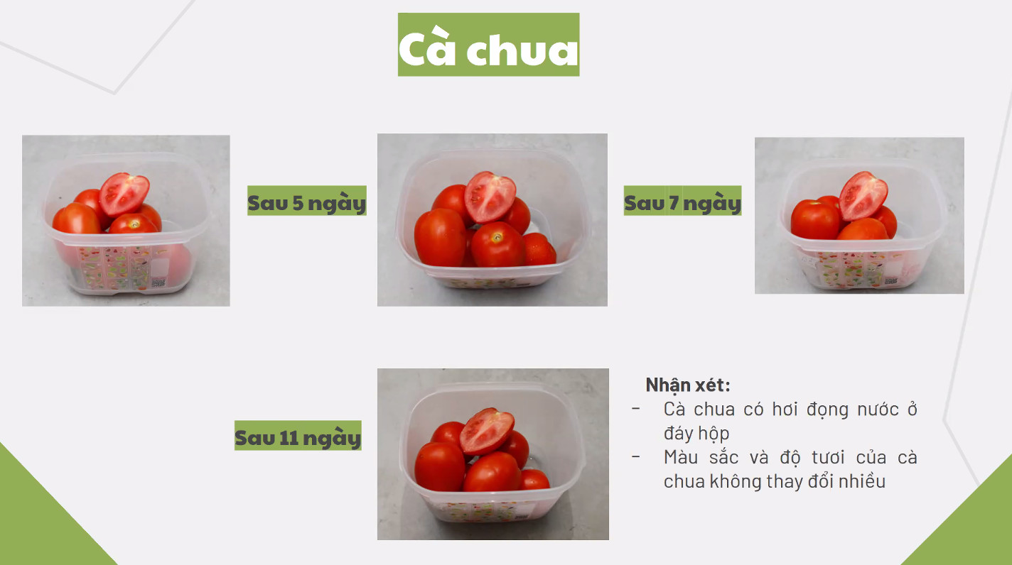Bộ Hộp Tupperware Trữ Mát Có Nút Hô Hấp Ventsmart - Hàng Chính Hãng