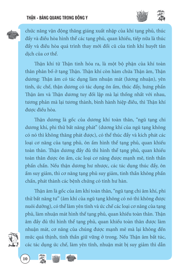Sách Thận Bàng Quang Trong Đông Y (Bìa mềm)