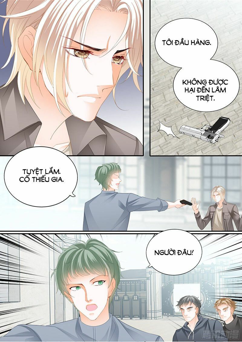 thiểm hôn kiều thê chapter 311 10