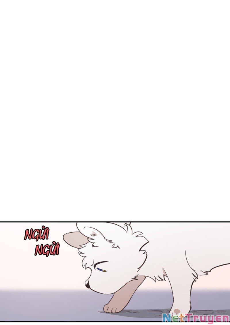 lumine - cội nguồn ánh sáng chapter 73 39