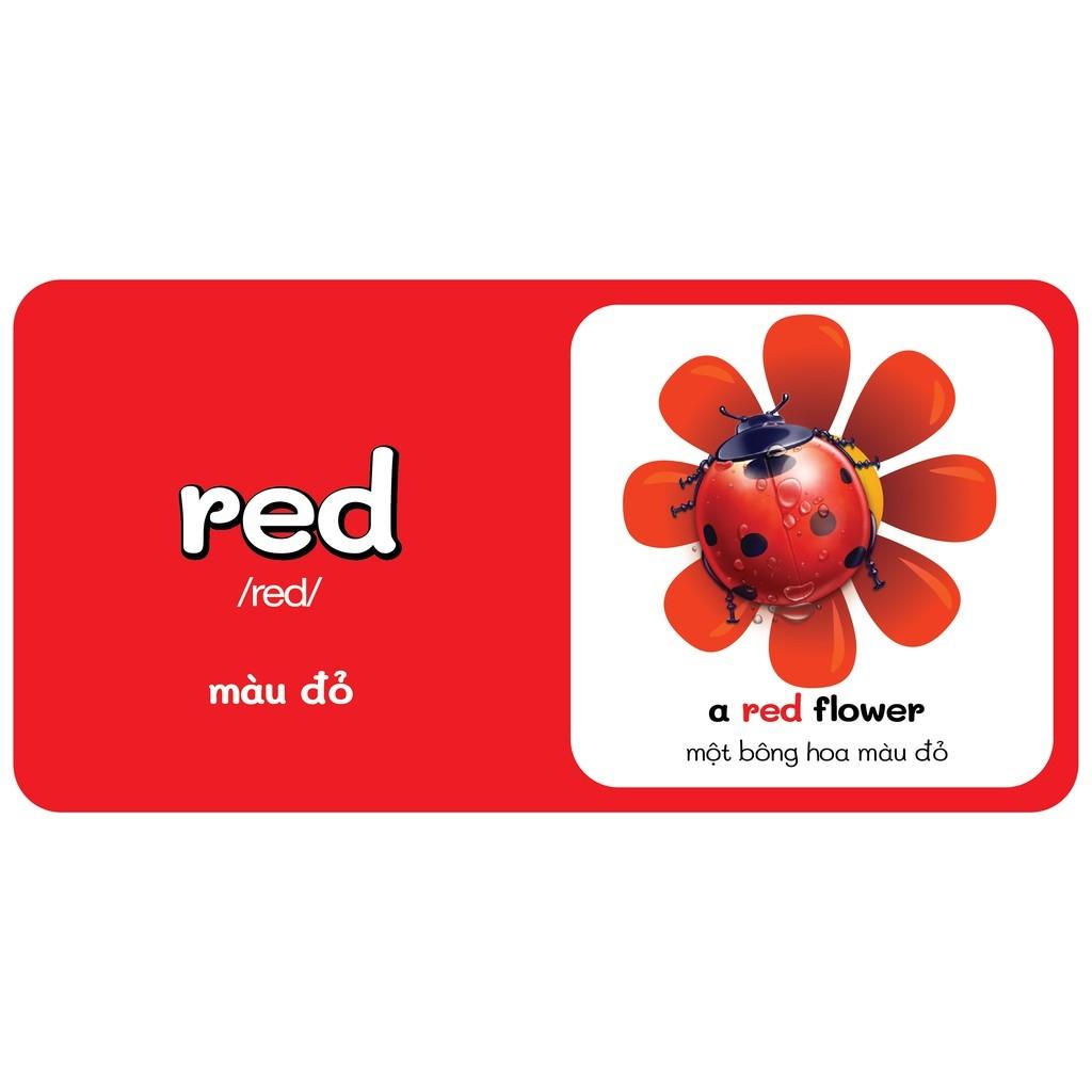 Từ Điển Bằng Hình Đầu Tiên Của Bé - Colours - Màu Sắc