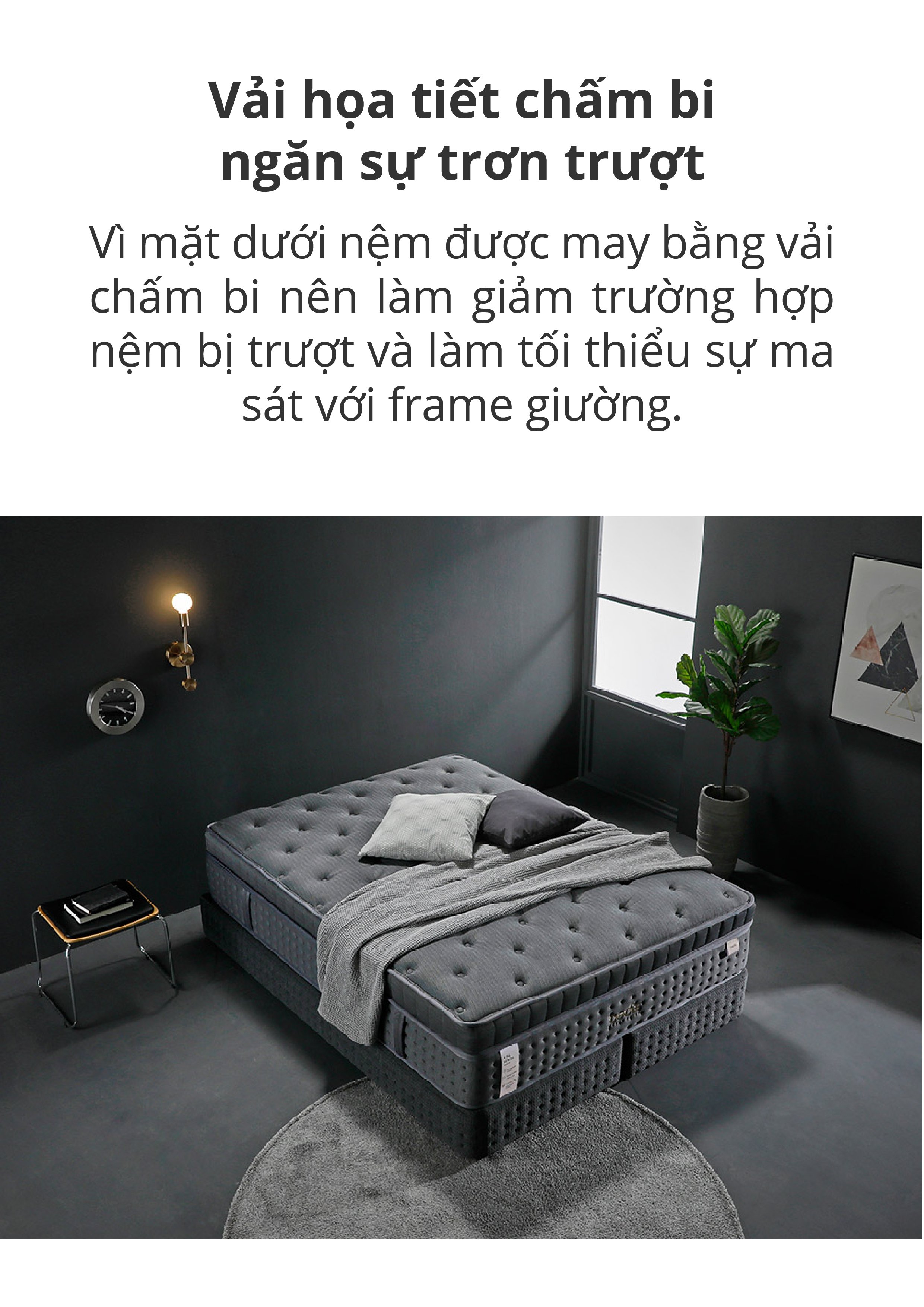 NỆM LÒ XO BEDIS BELUGA