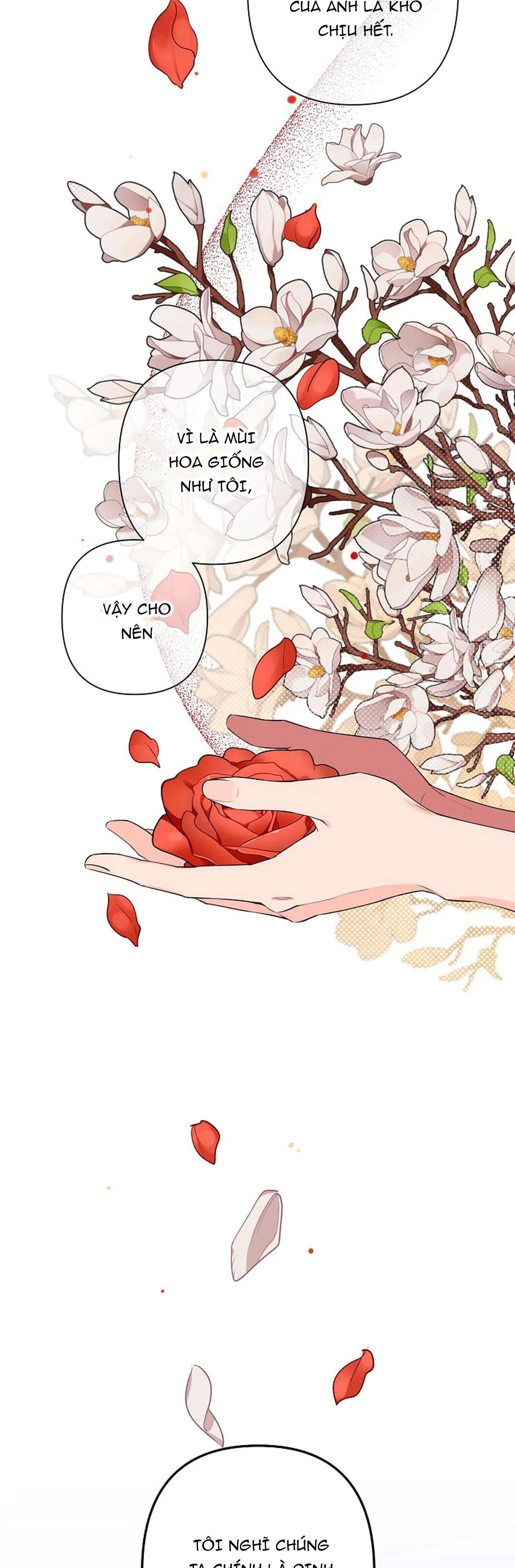 đêm dịu dàng chapter 38 23