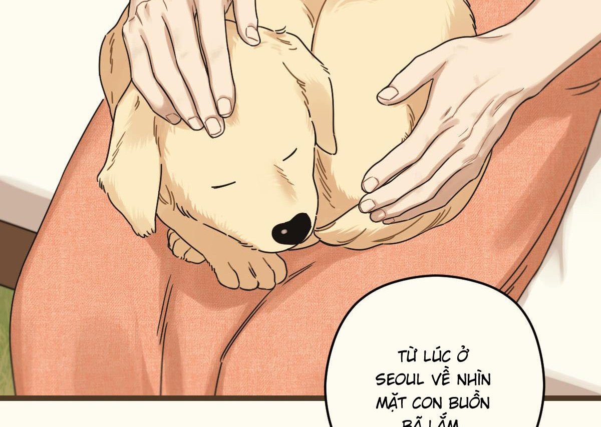 tương phùng chapter 37 105