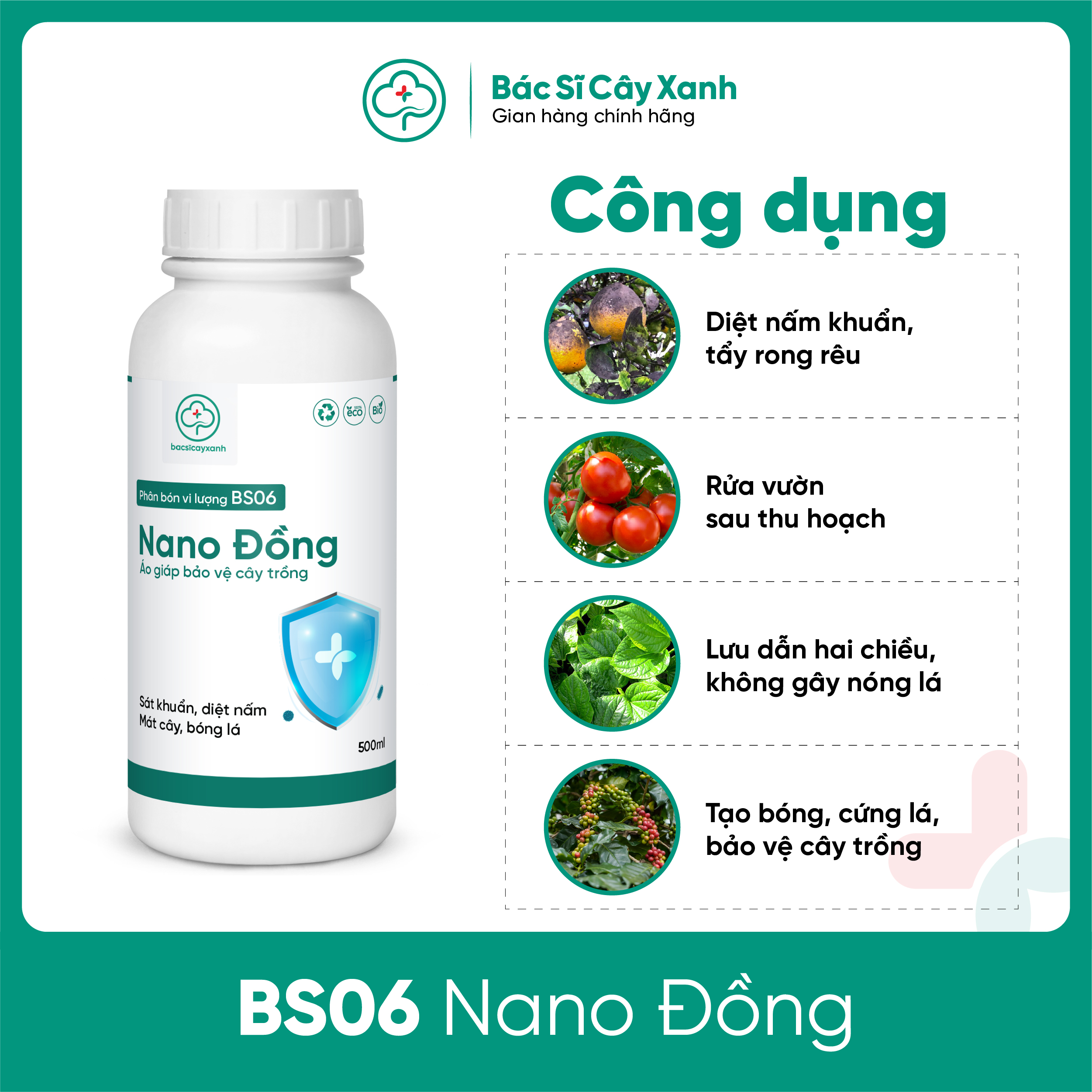 Phân bón vi lượng BS06 Nano Đồng Rửa vườn, tẩy rong rêu, nấm móc, phòng ngừa bệnh cây trồng 250/500ml NSX Bacsicayxanh