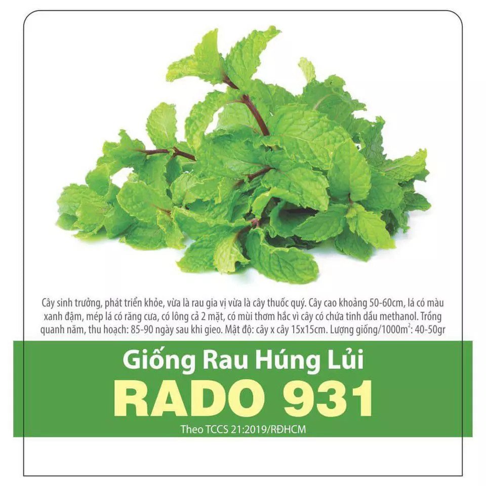 RD hạt giống Húng lủi 931
