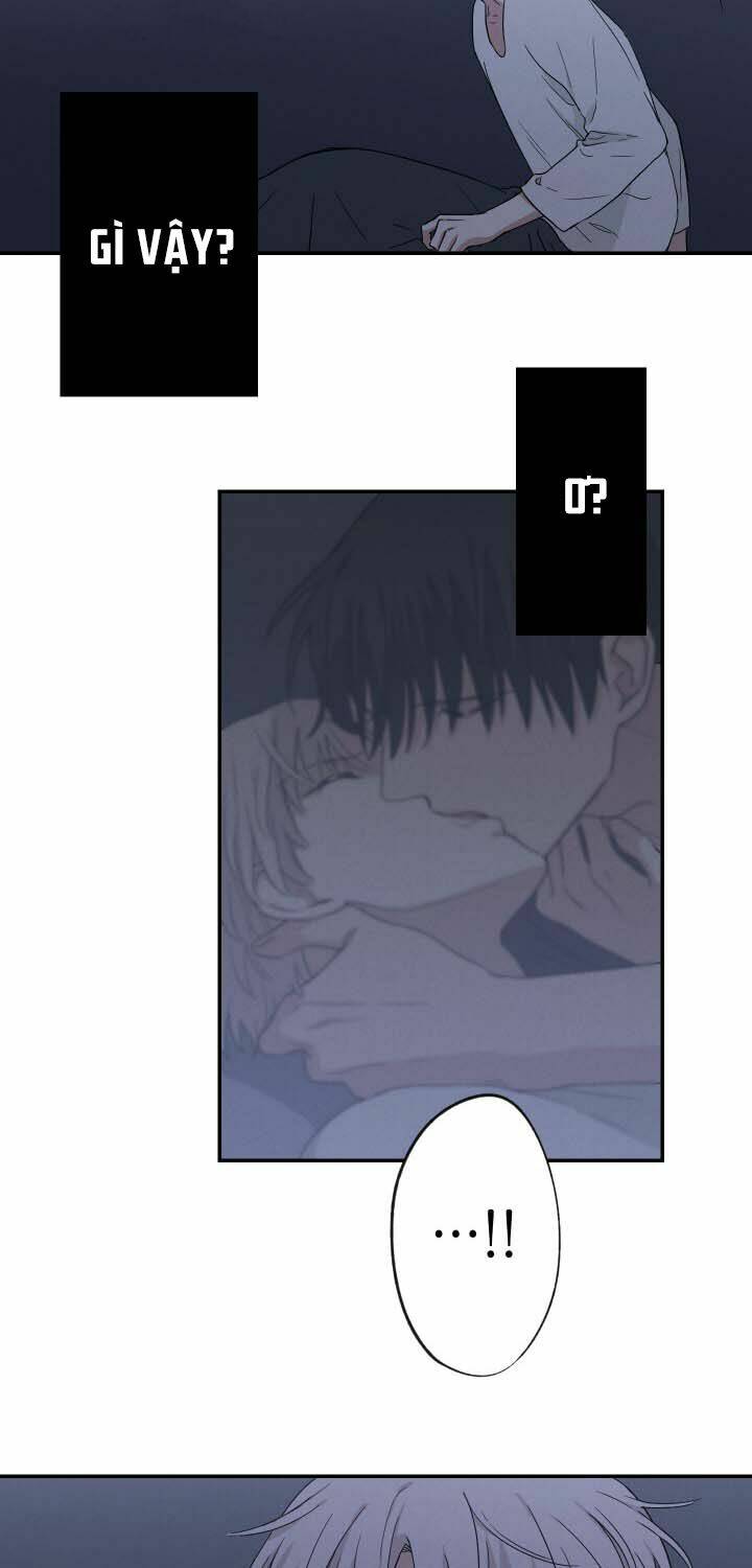 trốn tìm chapter 12 23