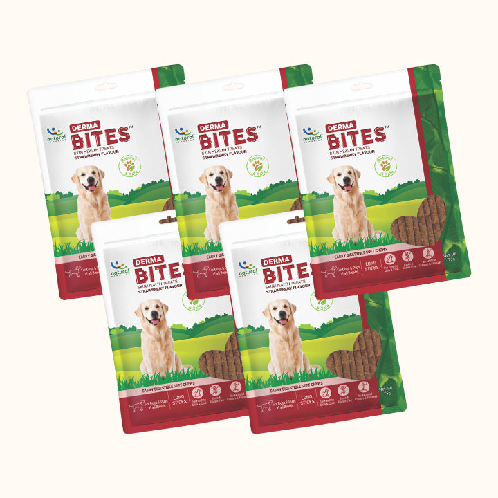 Snack bổ sung dưỡng chất cho chó - DERMA  BITES  (Hương Dâu)