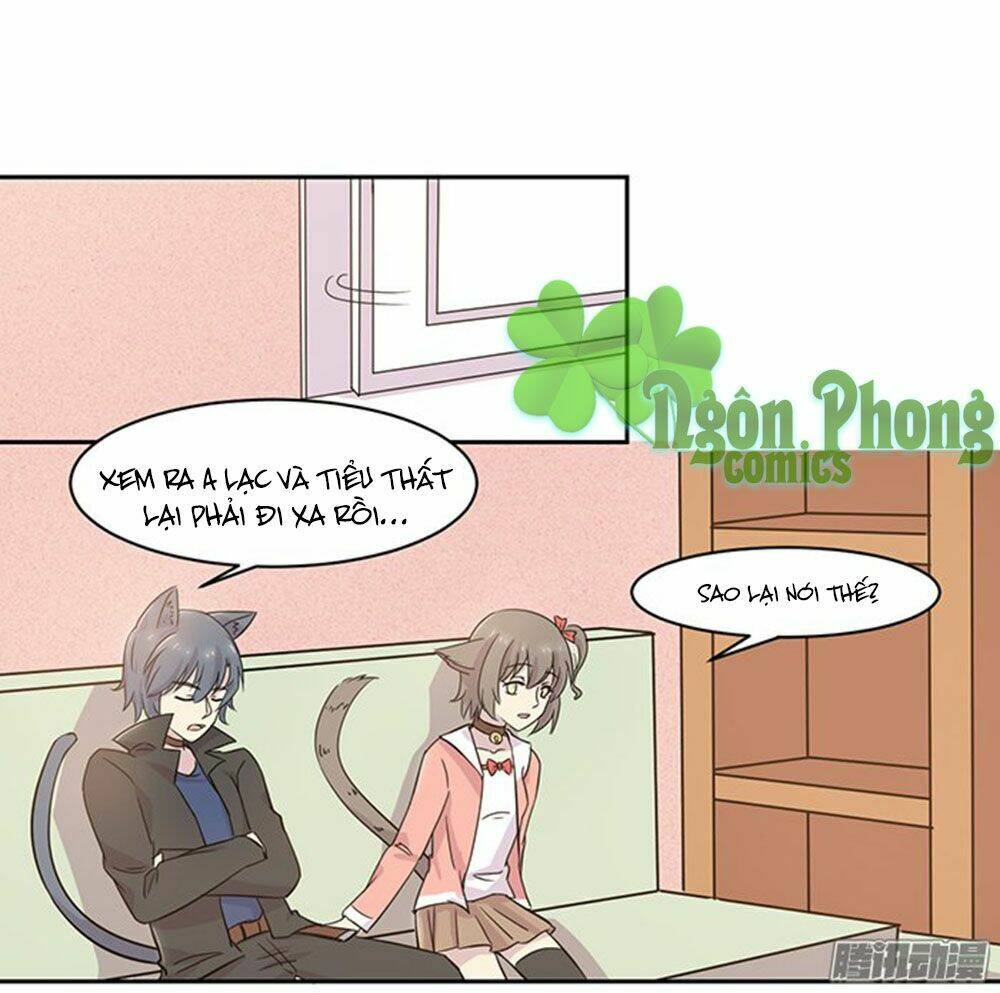 hai chú mèo totem chapter 20 3