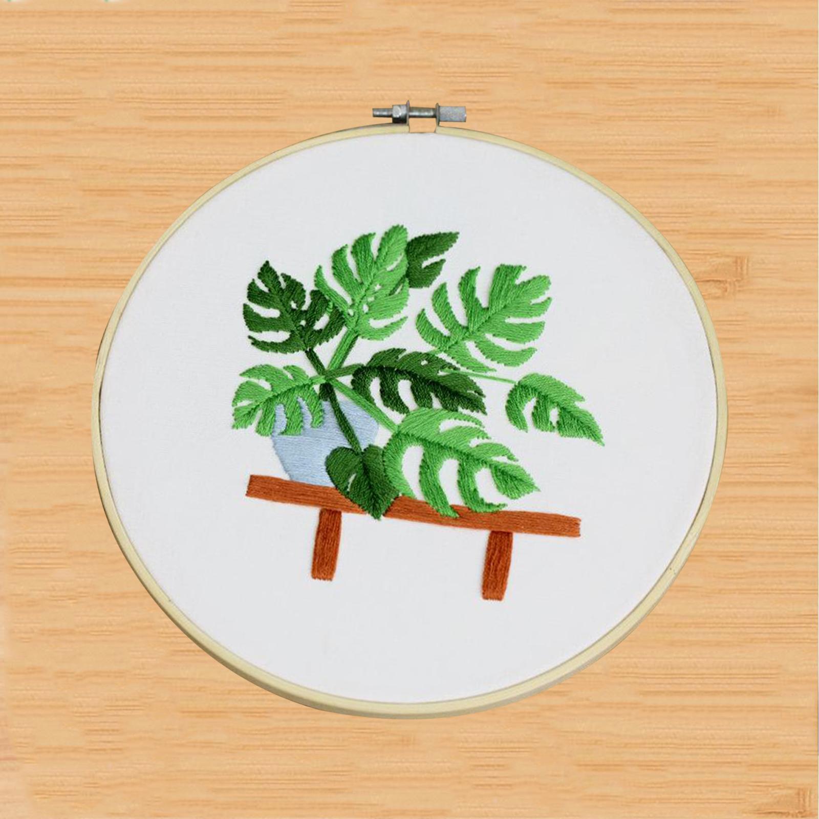 Full Range of Embroidery Starter Cross Stitch for Beginners