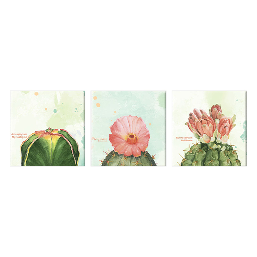 Bộ 3 Tranh Canvas Hoa Xương Rồng - W103