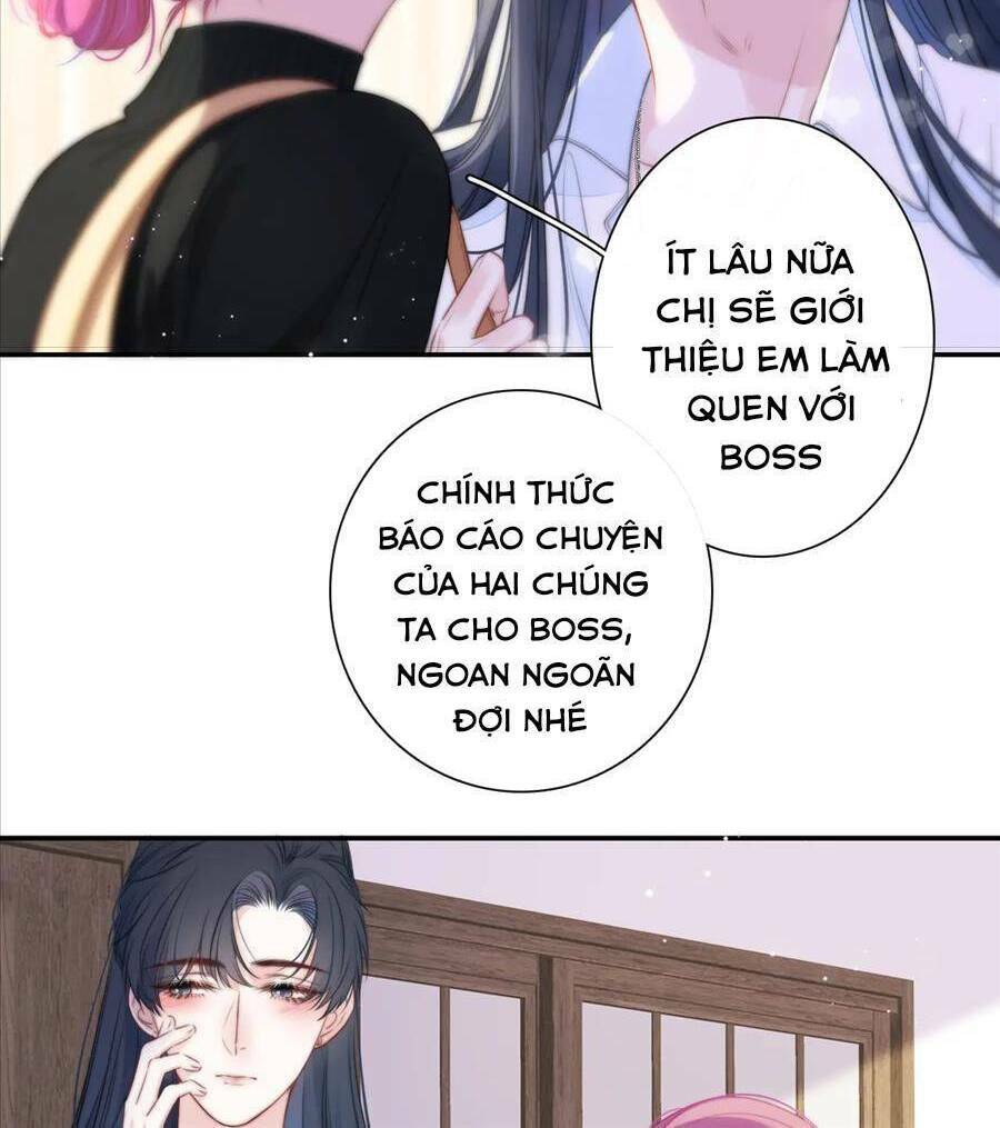 kim ốc tàng kiều chapter 50 49