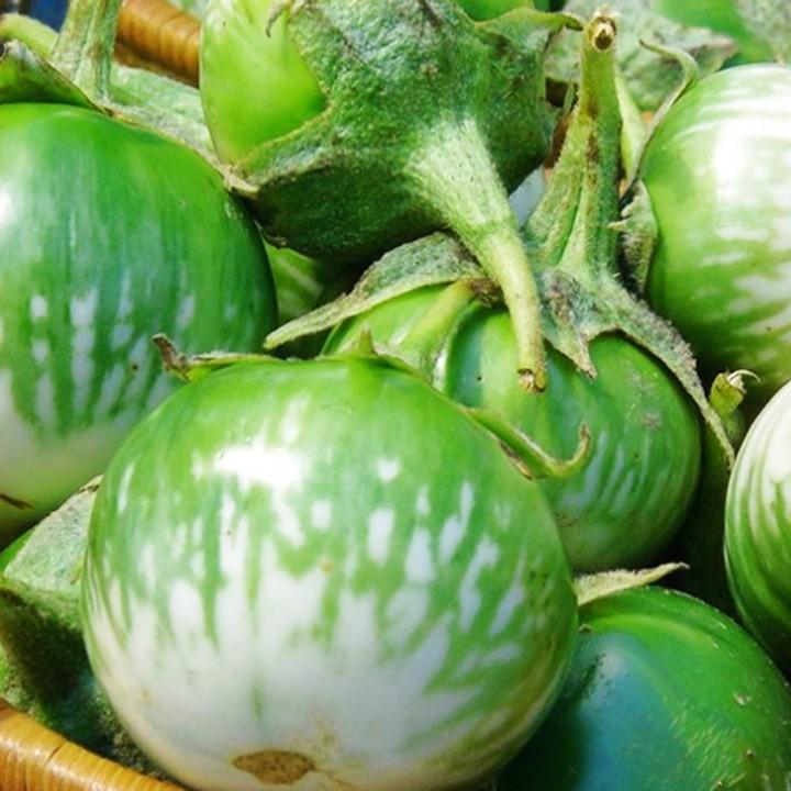 Hạt Giống Cà Ngọt Lai Sai Trái 0.2gr