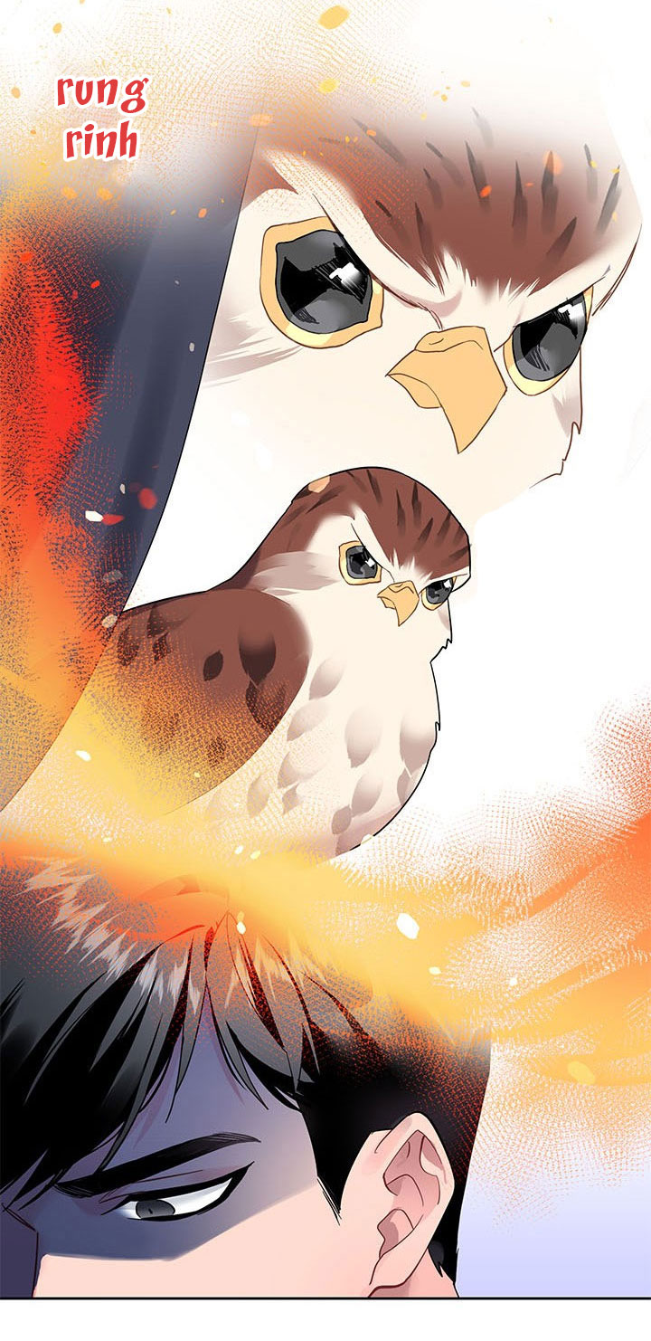 công chúa của loài chim chapter 5 38