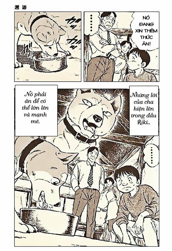 ginga densetsu riki chapter 3 25