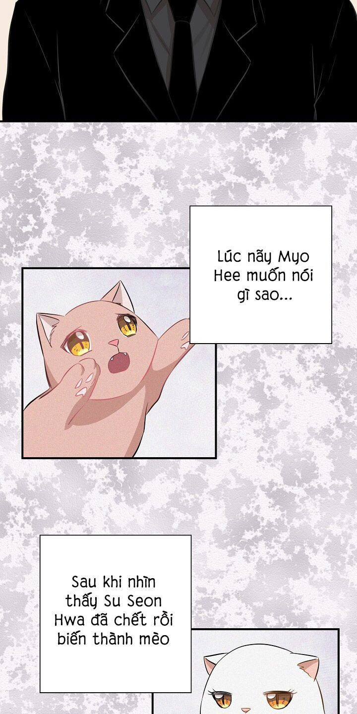 cuộc sống kỳ thú chapter 45 31