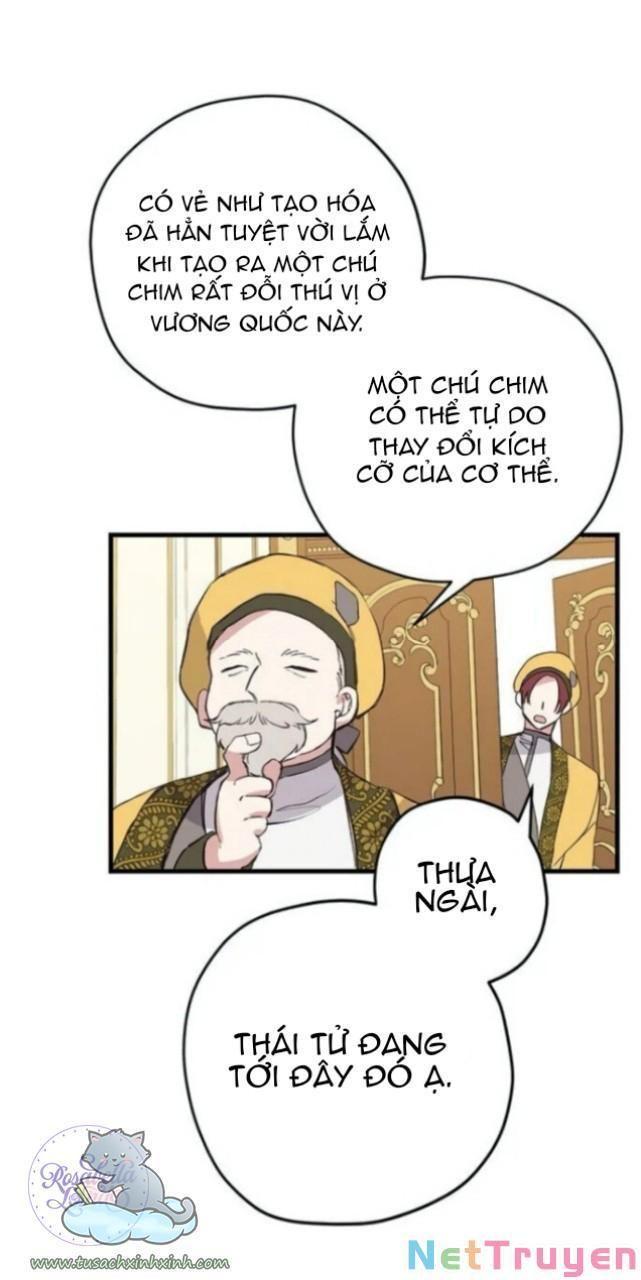 xin hãy cứ khóc, thái tử chapter 1 46