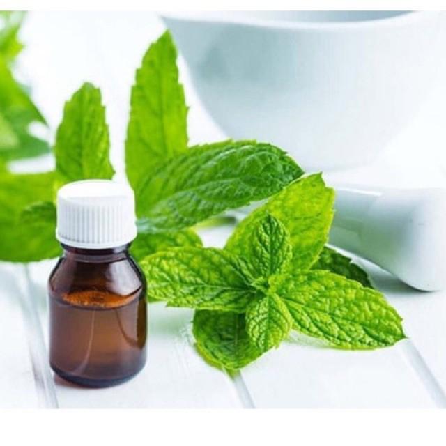 Hạt giống Bạc Hà Âu - pepper mint