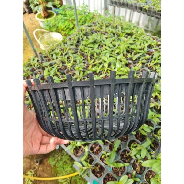 Chậu nhựa nan phụ trồng lan 30cm
