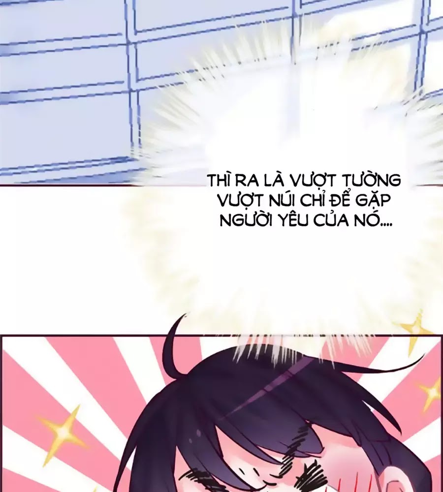 đừng nghịch, ta chỉ muốn yên tĩnh chapter 69 10